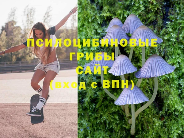 a pvp Алексин