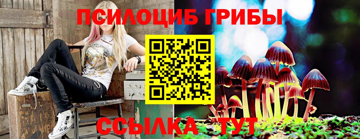 Тольятти  Псилоцибиновые грибы мухоморы  Вход с VPN 